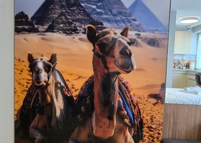 Metropolis Centrum Hotel apartamentowy Kalisz